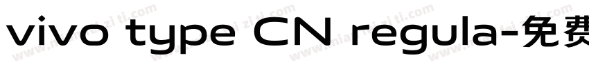 vivo type CN regula字体转换